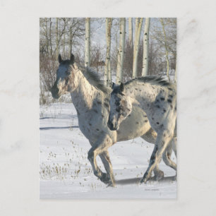 Fantasy Horses: Winter Wunderland Postkarte