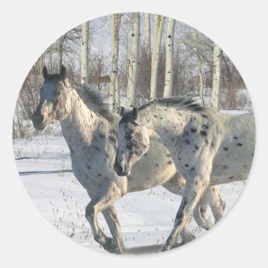 Fantasy Horses: Winter Wunderland Runder Aufkleber (Vorderseite)