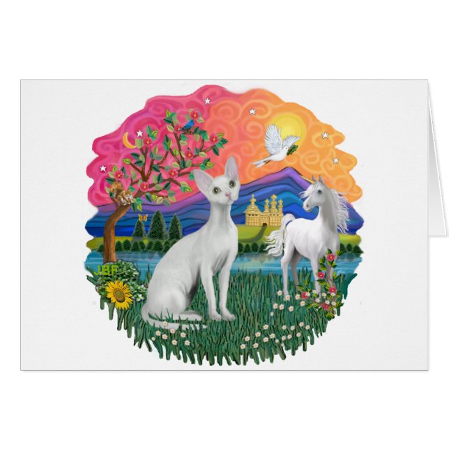 Fantasy Land (ff) - Devonshire Rex cat (Vorderseite (Horizontal))