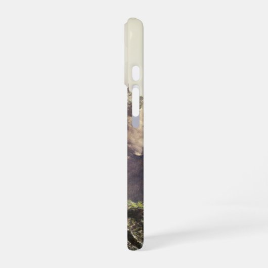 Fantasy landscape iPhone 16 hülle (Linke Seite)