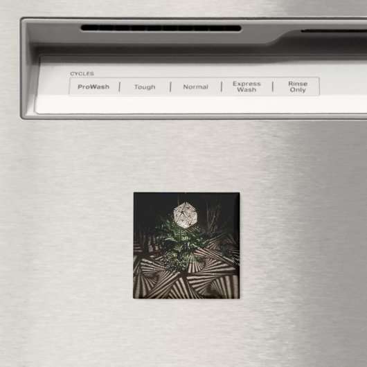 Fantasy Magnet (In Situ (Geschirrspüler))