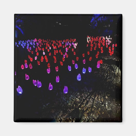 Fantasy Magnet (Vorne)