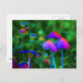 Fantasy Mushrooms Postkarte (Vorne/Hinten)