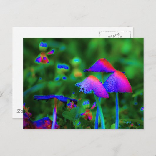 Fantasy Mushrooms Postkarte (Vorne/Hinten)