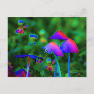 Fantasy Mushrooms Postkarte