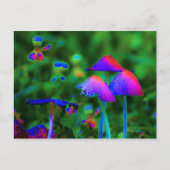 Fantasy Mushrooms Postkarte (Vorderseite)