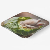 Fantasy Niedlich Baby Bunny Cabbage Pappteller (Gewinkelt)