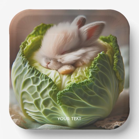 Fantasy Niedlich Baby Bunny Cabbage Pappteller (Vorderseite)