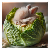 Fantasy Niedlich Baby Bunny Cabbage Poster (Vorderseite)