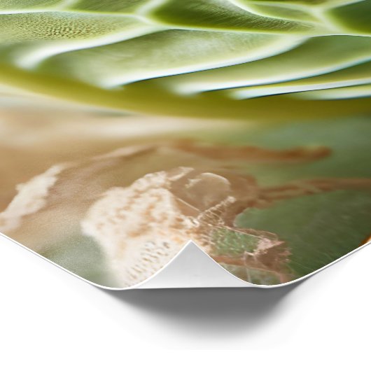 Fantasy Niedlich Baby Bunny Cabbage Poster (Ecke)