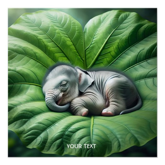 Fantasy Niedlich Baby Elephant Leaf Poster (Vorderseite)