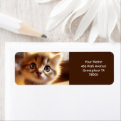 Fantasy Niedlich Closeup Kleine Kitten (Insitu)