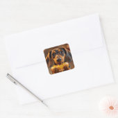 Fantasy Niedlich Dog Hot Dog Quadratischer Aufkleber (Umschlag)