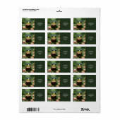 Fantasy Niedlich Frog Glassbook Adressaufkleber (Vorne)
