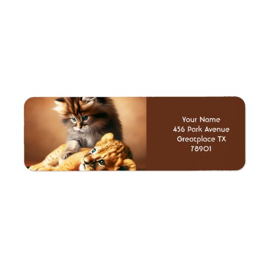 Fantasy Niedlich Kitchen spielen mit Tiger (Vorne)