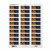 Fantasy Niedlich Orange Snake Sushi (Vorne)