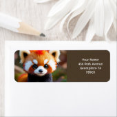 Fantasy Niedlich Panda Red Hair (Insitu)