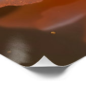 Fantasy Niedlich Peach Kleine Rose Poster (Ecke)