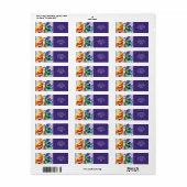 Fantasy Niedlich Pride Rainbow Angel (Vorne)