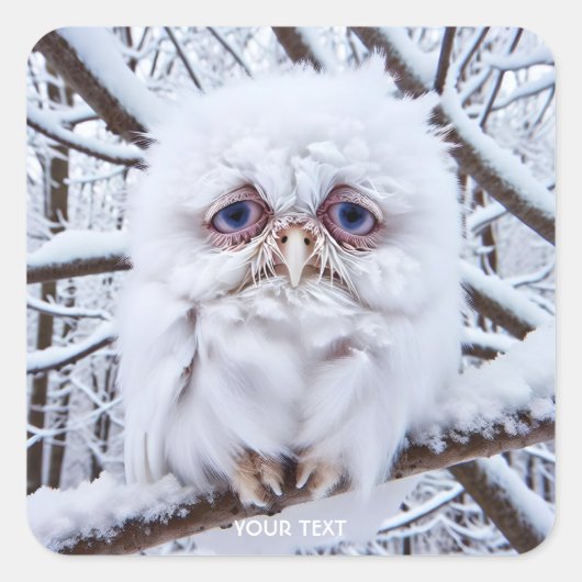 Fantasy Niedlich Sad Owl Winter Quadratischer Aufkleber (Vorderseite)