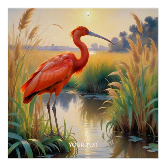 Fantasy Niedlich Scarlet Ibis Abend Poster (Vorderseite)