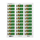 Fantasy Niedlich Sharp Dressed Leprechaun (Vorne)