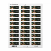 Fantasy Niedlich Tiger Baby Kitten (Vorne)