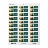 Fantasy Niedlich Turtle Waterfall Forest (Vorne)