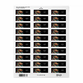 Fantasy Niedlich Vivid Blue Yellow Dragon (Vorne)