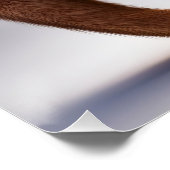 Fantasy Niedlich Vivid Kangaroo Portrait Blume Poster (Ecke)