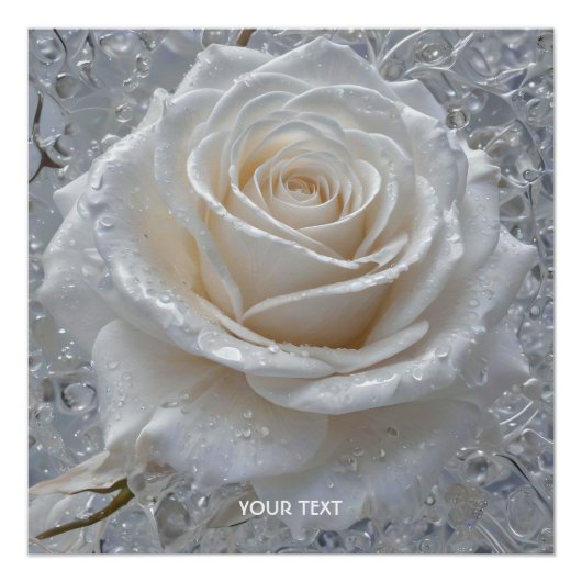 Fantasy Niedlich White Rose Drops Poster (Vorderseite)