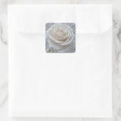 Fantasy Niedlich White Rose Drops Quadratischer Aufkleber (Tasche)