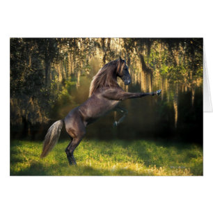 Fantasy Pferde: Kriegerprinz