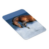 Fantasy Pferde: Selle Francais & Sea Magnet (Rechte Seite)