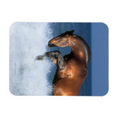 Fantasy Pferde: Selle Francais & Sea Magnet (Horizontal)