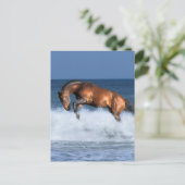 Fantasy Pferde: Selle Francais & Sea Postkarte (Stehend Vorderseite)