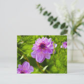 Fantasy Pink Dahlia Postkarte (Stehend Vorderseite)