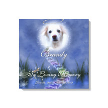 Fantasy Pond Fügen Sie Ihr Begleiter Foto Memorial