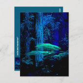 Fantasy Postcard Postkarte (Vorne/Hinten)