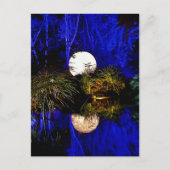 Fantasy Postcard Postkarte (Vorderseite)