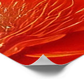 Fantasy Red Fairy Red Blume Poster (Ecke)