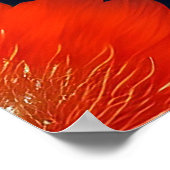Fantasy-Rote Fee rote Blumen Poster (Ecke)