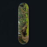 Fantasy T-Rex Tyrannosaurus Dragon Kampf Skateboard<br><div class="desc">Dieses Design kann personalisiert werden, indem Sie die Option Anpassen auswählen, um Text hinzuzufügen oder andere Änderungen vorzunehmen. Wenn dieses Produkt die Möglichkeit hat, das Design auf einen anderen Gegenstand zu übertragen, stellen Sie bitte sicher, dass das Design bei Bedarf angepasst wird. Kontaktieren Sie mich unter colorflowcreations@gmail.com , wenn Sie...</div>