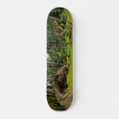 Fantasy T-Rex Tyrannosaurus Dragon Kampf Skateboard (Vorne)
