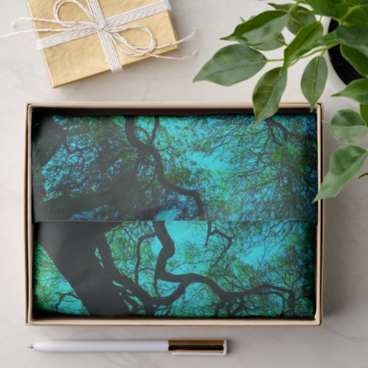 Fantasy Türkis Tree Silhouette Seidenpapier (Geschenk)