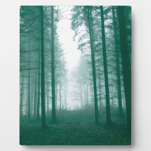 Fantasy-Wald mit Nebel in Grün Fotoplatte (Vorderseite)