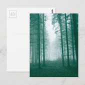 Fantasy-Wald mit Nebel in Grün Postkarte (Vorne/Hinten)