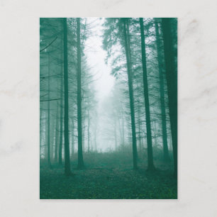 Fantasy-Wald mit Nebel in Grün Postkarte