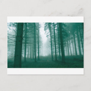 Fantasy-Wald mit Nebel in Grün Postkarte