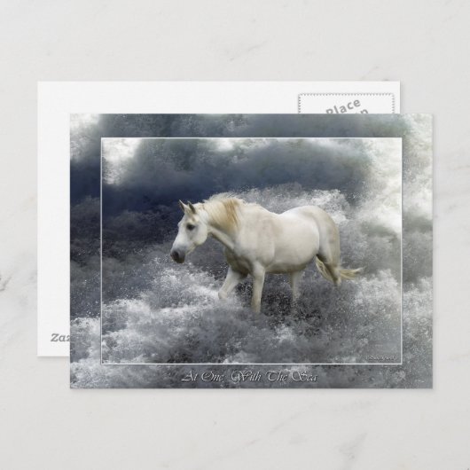 Fantasy White Horst & Ocean Surf Geschenke Postkarte (Vorne/Hinten)
